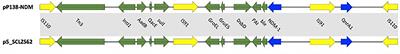 Occurrence of NDM-1, VIM-1, and OXA-10 Co-Producing Providencia rettgeri Clinical Isolate in China